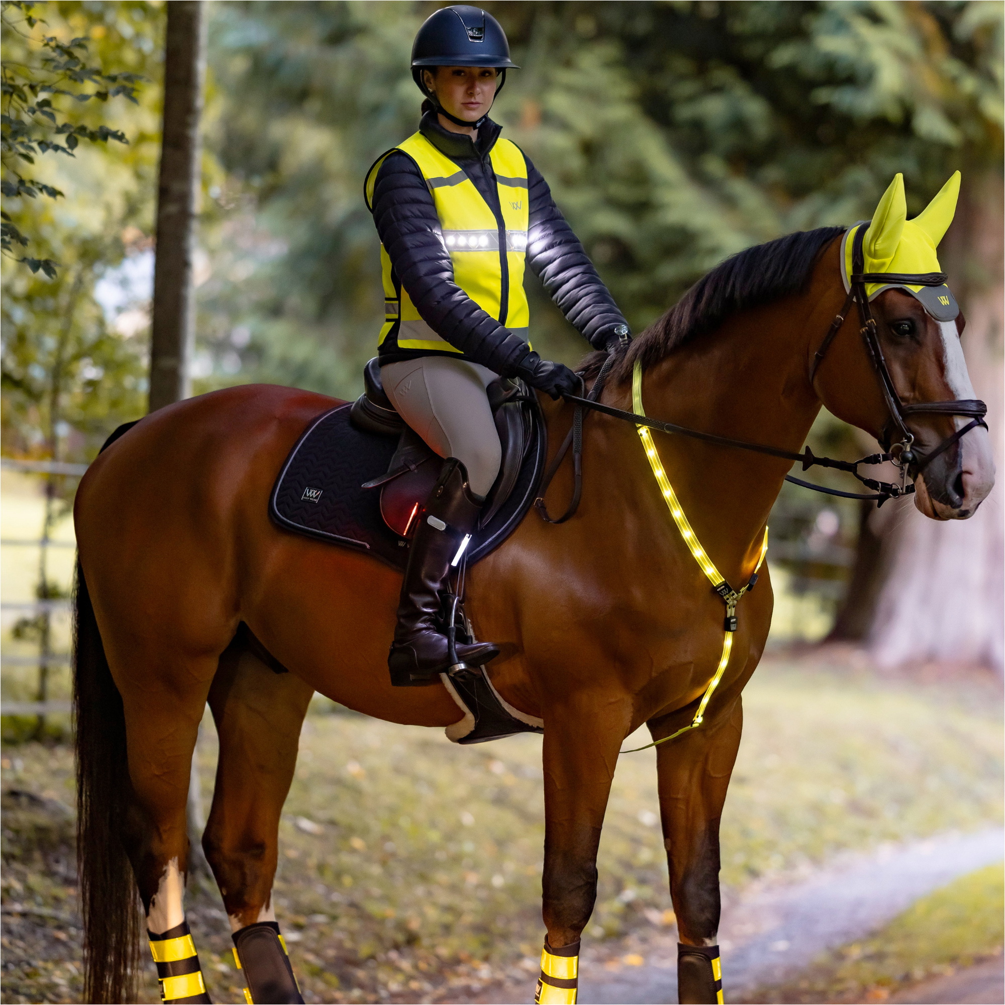 2025 Woof Wear LED Neck Band WS0035 - Hi Viz